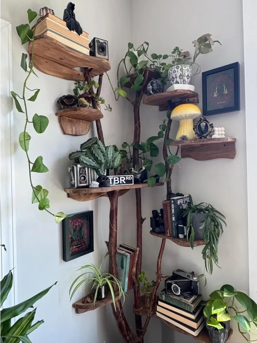 ✨🪾Handmade plant fairy decor shelf — Rustic Wood Wall Shelf - raw Natural wood